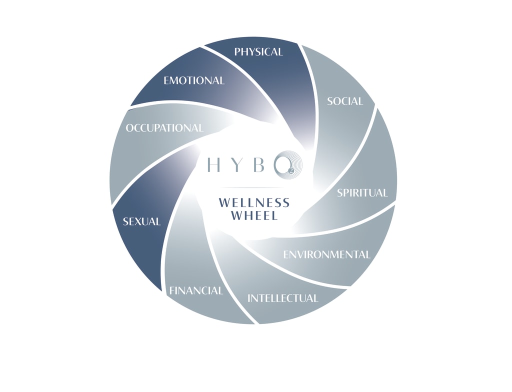 Circle with HybO2 wellness wheel in centre and segments around outside physical social spiritual environmental intellectual financial sexual occupational emotional